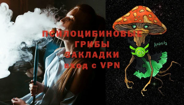 СК Ладушкин