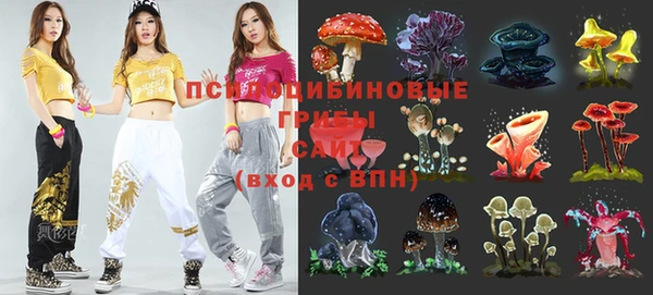 СК Ладушкин